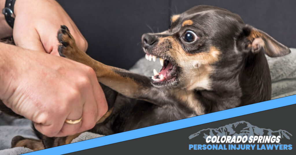 Do I Need a Colorado Springs Dog Bite Attorney?